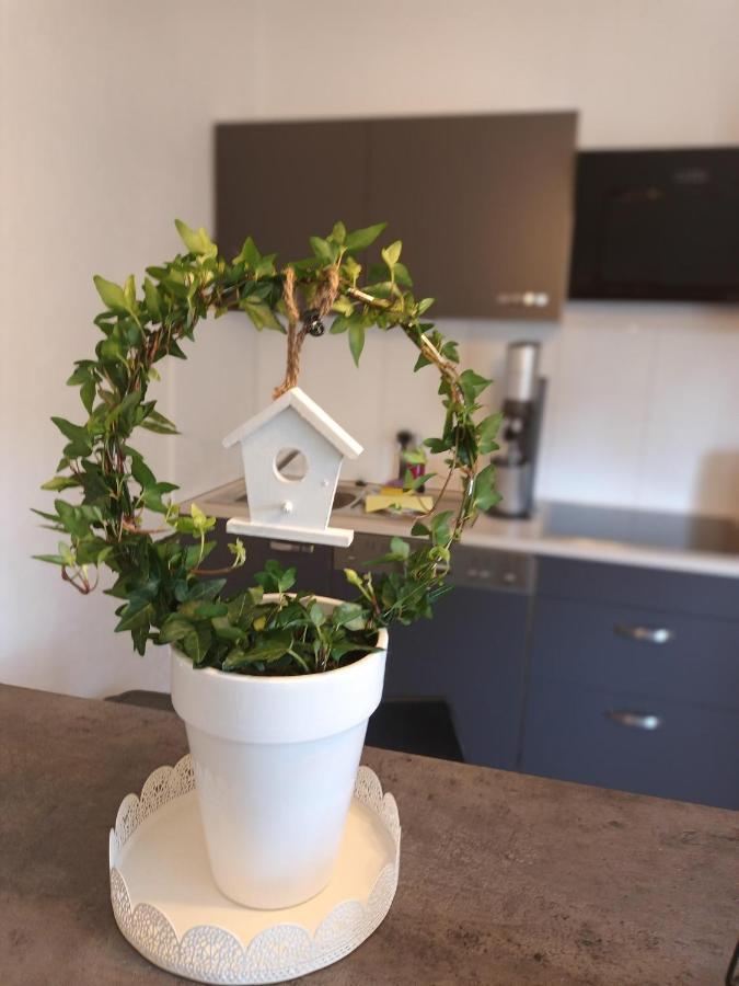 Ferienwohnung Naumburgliebe 나움부르크 외부 사진